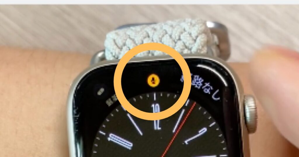 Apple Watchのボイスメモアプリのアイコン②